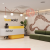 BuzzWorks Enters Mysuru With Grade-A Managed Workspace